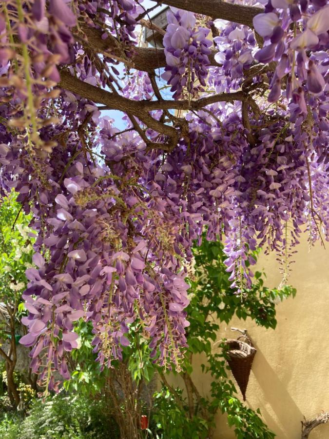 La Maison D'Ivona ลาตูร์เดอซัลวาญี ภายนอก รูปภาพ
