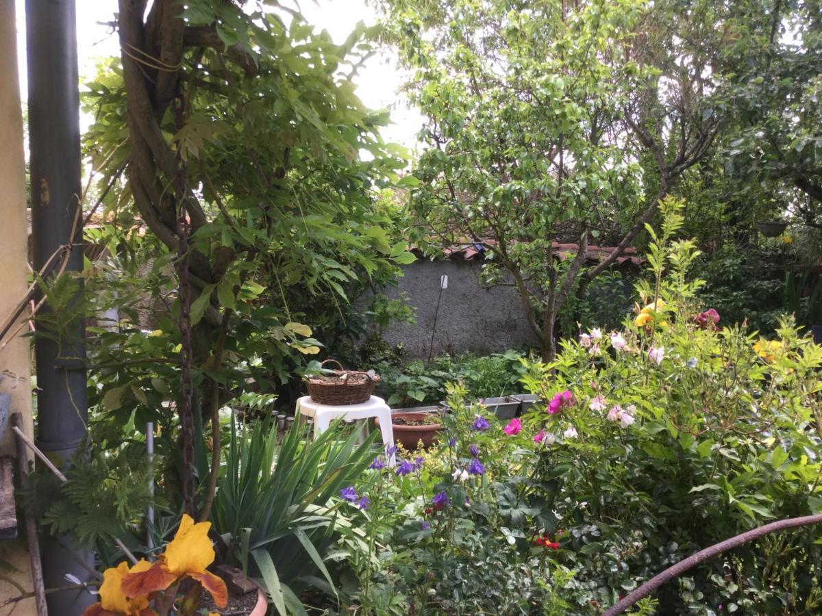 La Maison D'Ivona ลาตูร์เดอซัลวาญี ภายนอก รูปภาพ